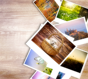 Fotografie ECONOMY